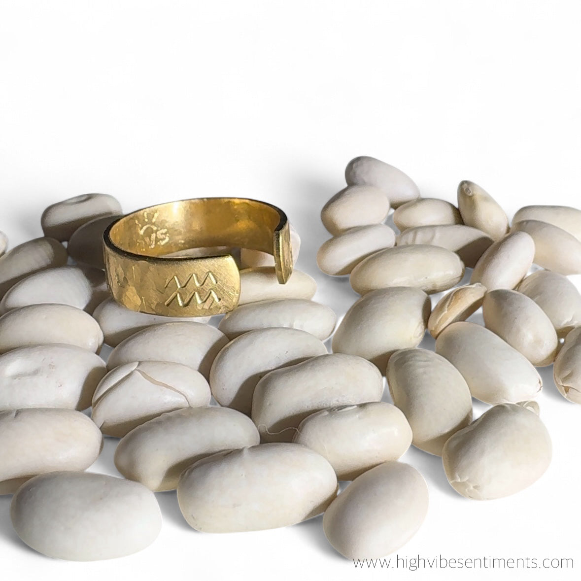 Brass Zodiac Rings