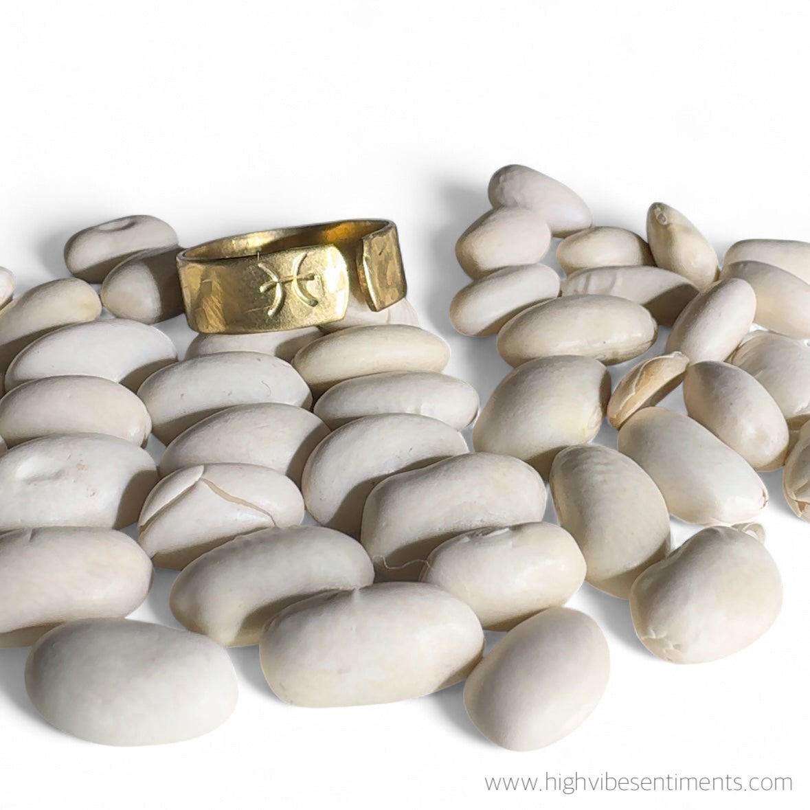 Brass Zodiac Rings