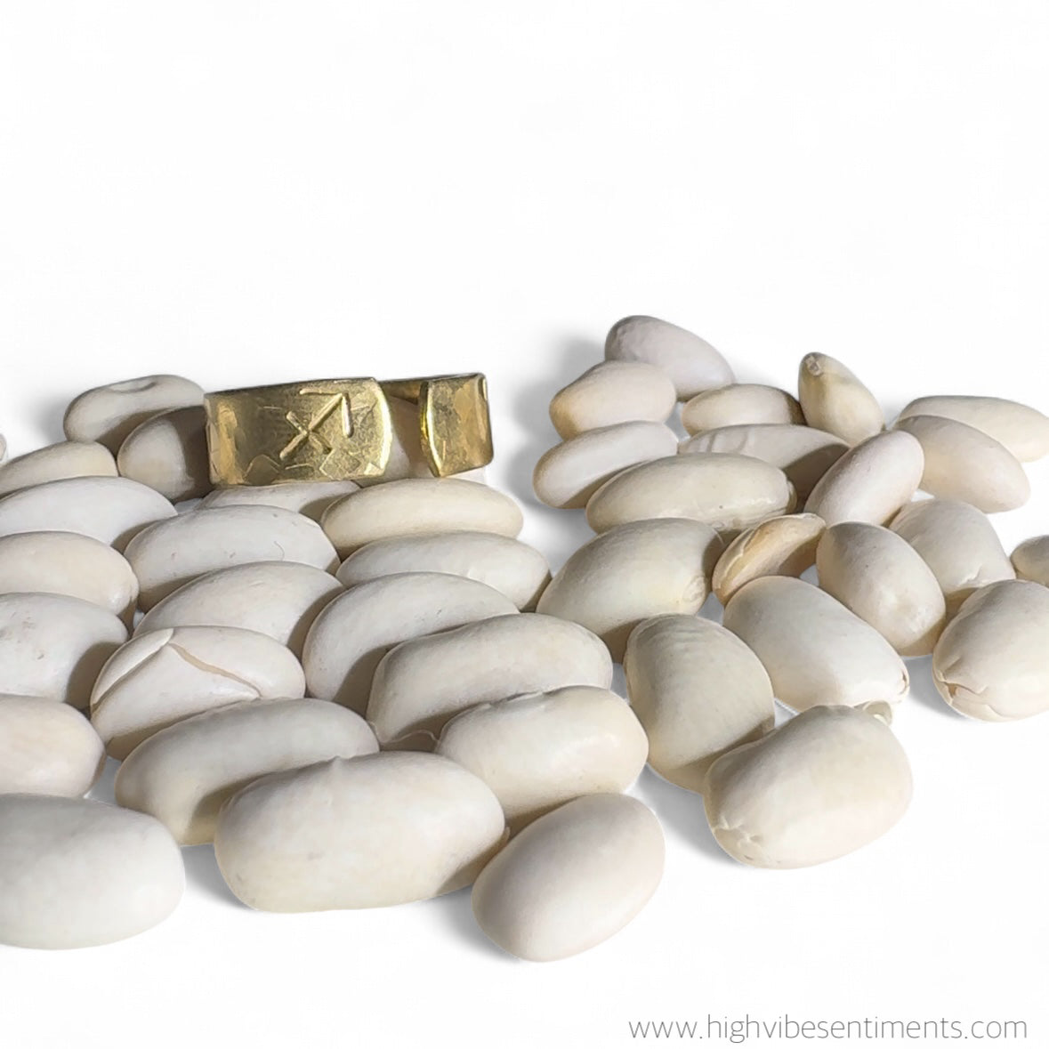 Brass Zodiac Rings