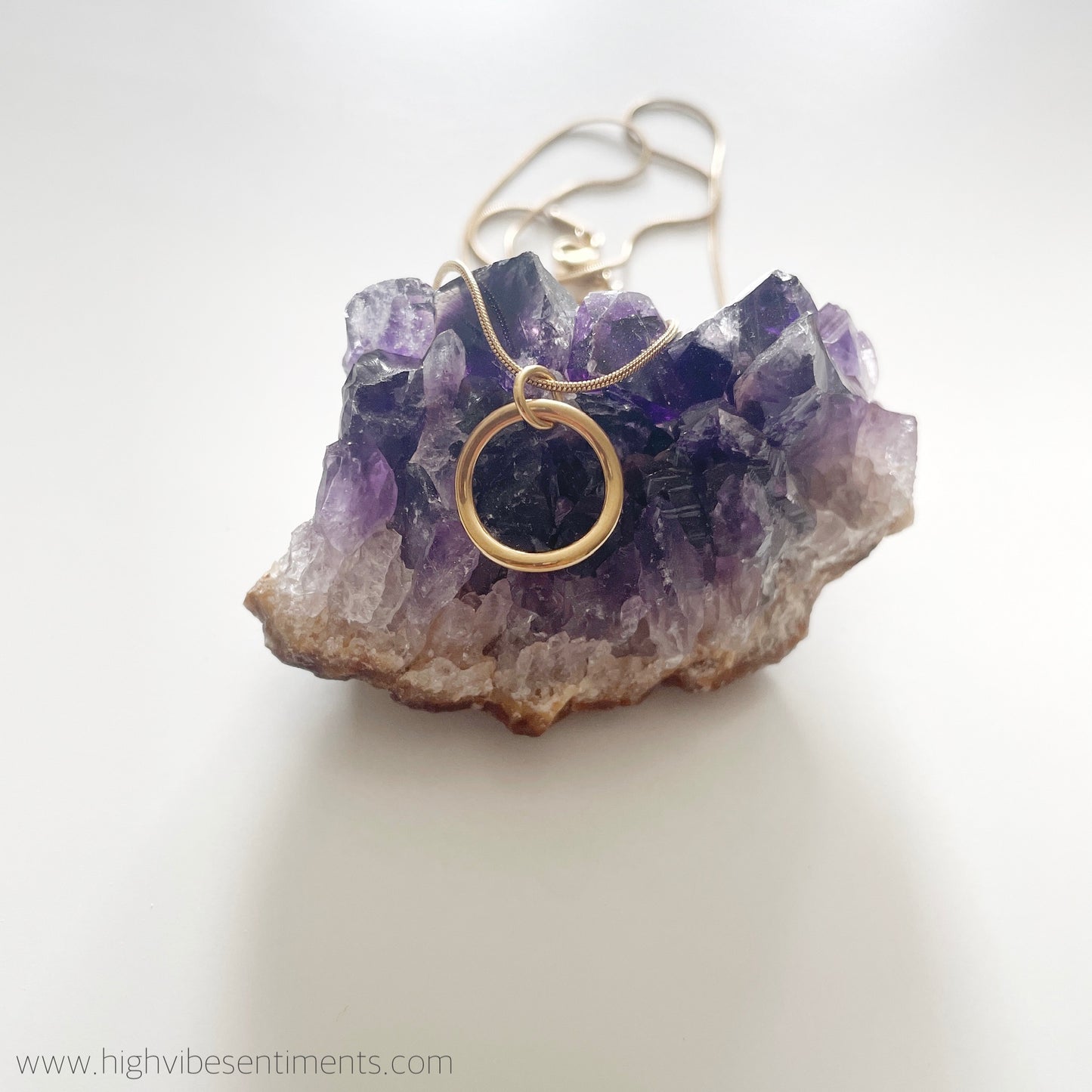 Sleek Circle Necklace