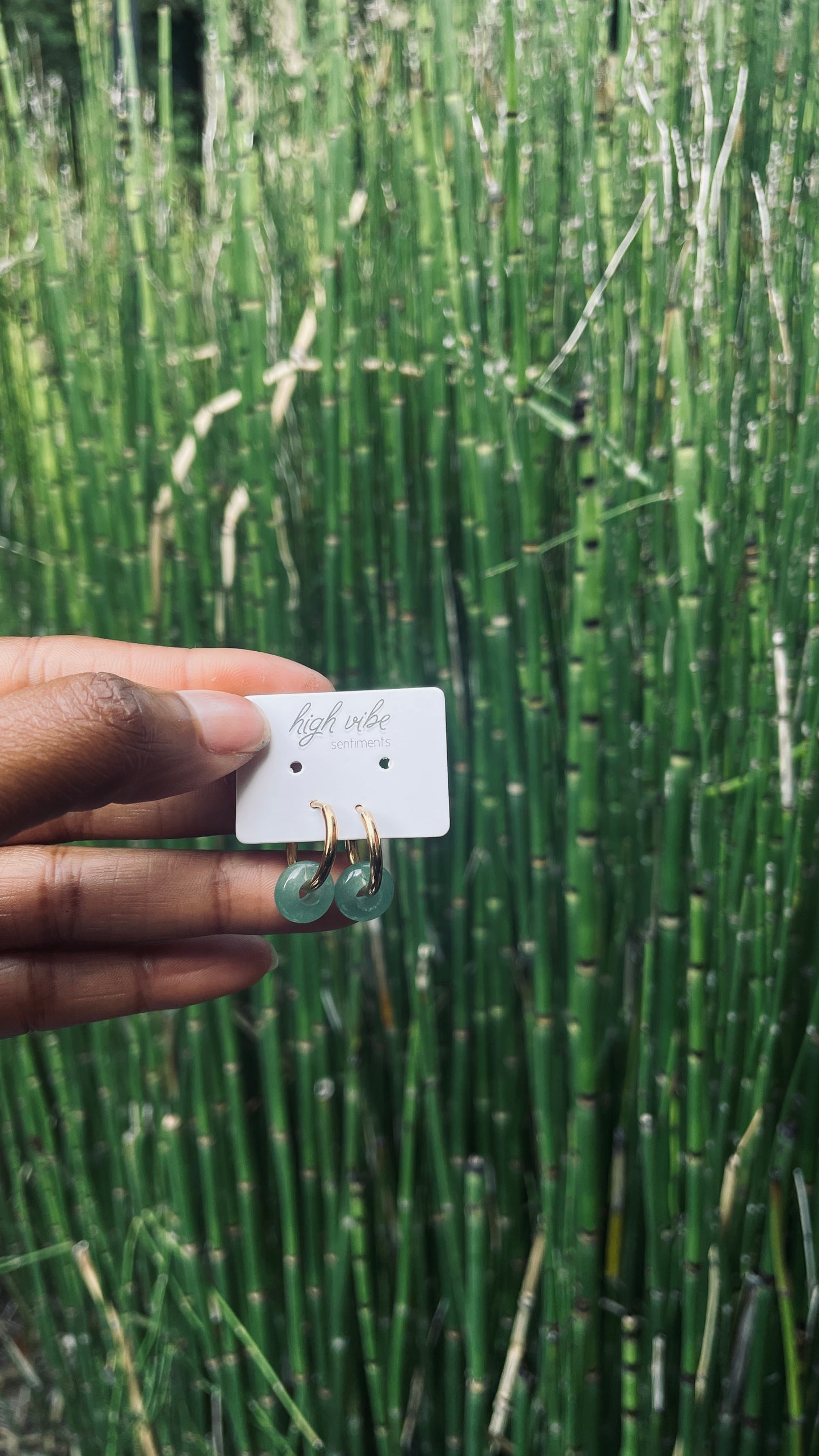 Ear Candy Hoops (mini)