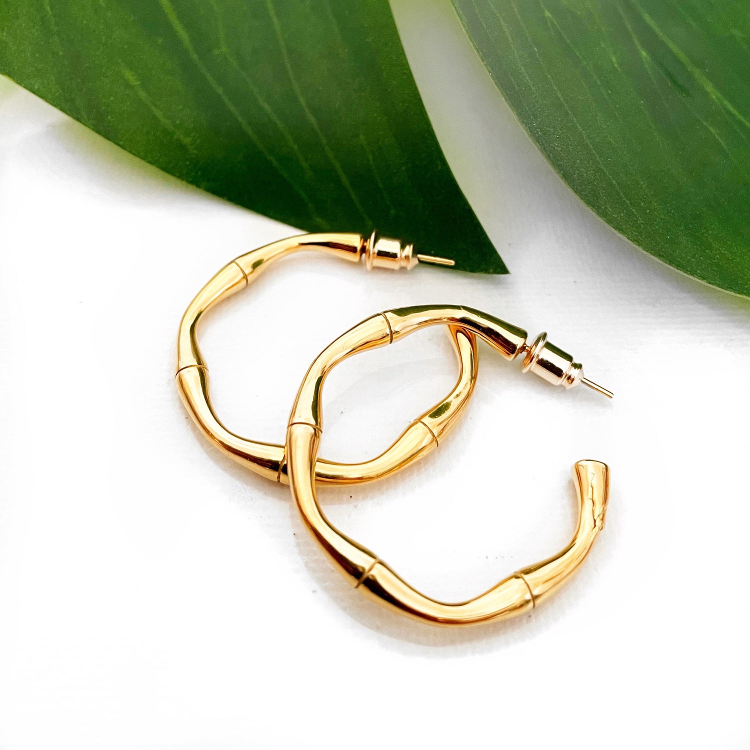 Bamboo Collection